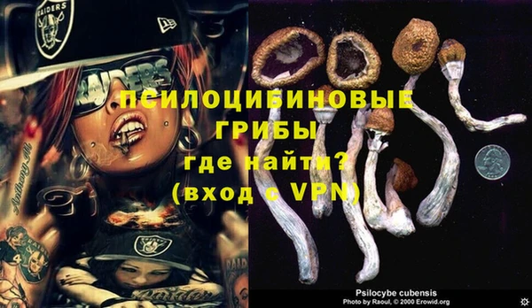 таблы Верея