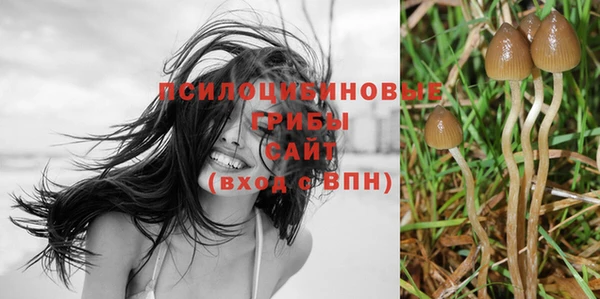 прущие крисы Верхний Тагил